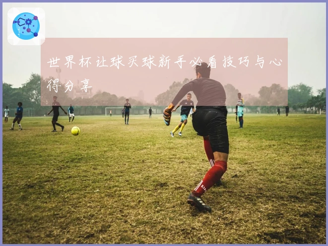 世界杯让球买球新手必看技巧与心得分享