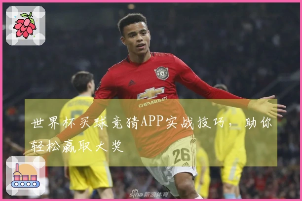 世界杯买球竞猜APP实战技巧，助你轻松赢取大奖