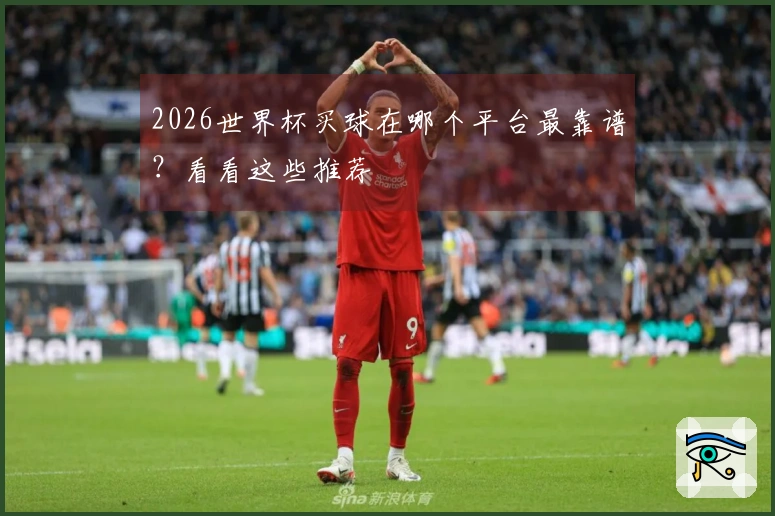 2026世界杯买球在哪个平台最靠谱？看看这些推荐