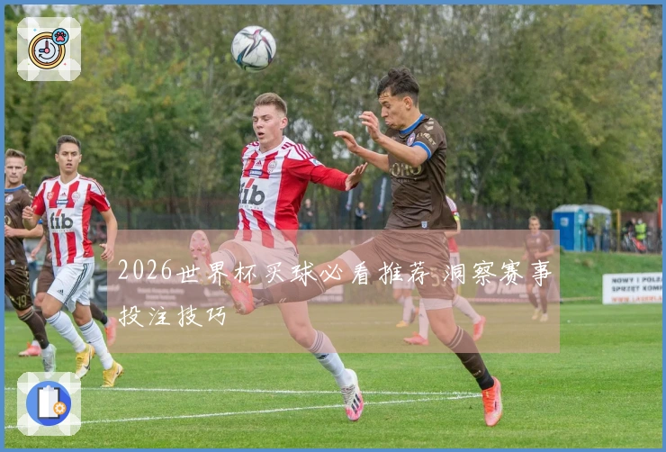 2026世界杯买球必看推荐 洞察赛事投注技巧