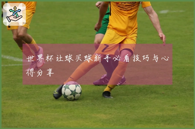 世界杯让球买球新手必看技巧与心得分享