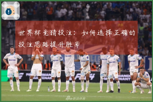 世界杯竞猜投注：如何选择正确的投注思路提升胜率