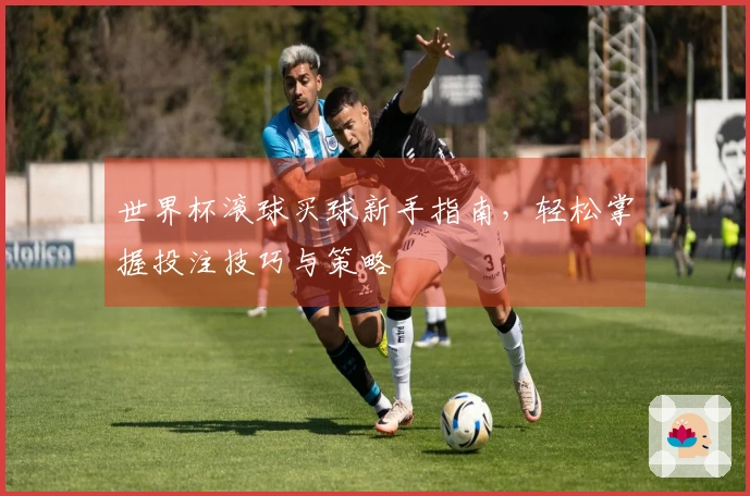 世界杯滚球买球新手指南,轻松掌握投注技巧与策略