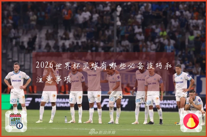 2026世界杯买球有哪些必备技巧和注意事项