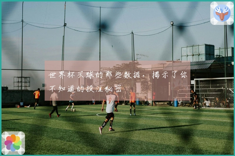 世界杯买球的那些数据，揭示了你不知道的投注秘密
