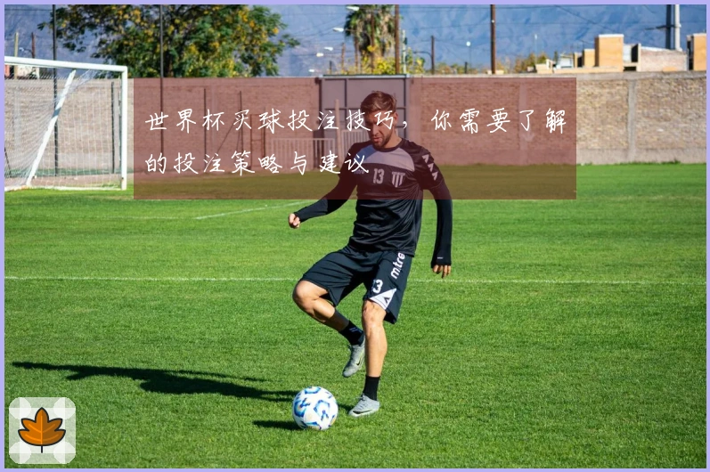 世界杯买球投注技巧，你需要了解的投注策略与建议