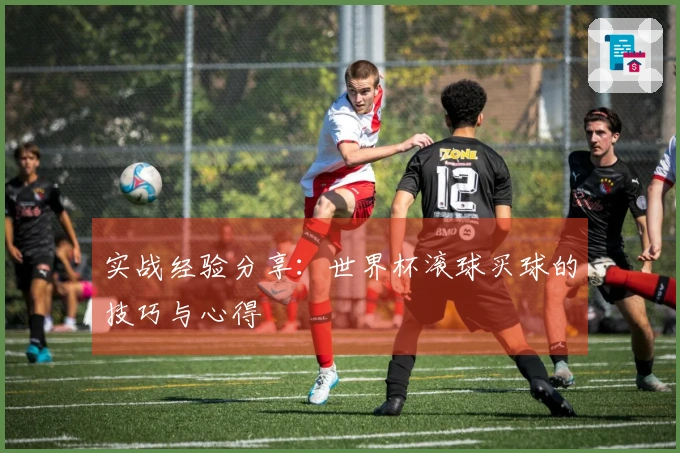 实战经验分享：世界杯滚球买球的技巧与心得