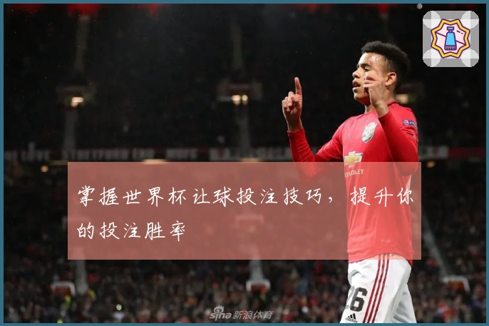 掌握世界杯让球投注技巧，提升你的投注胜率