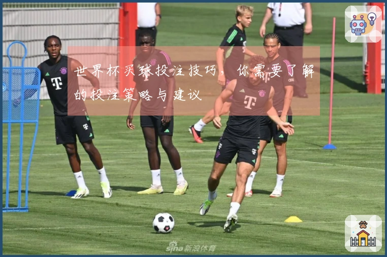 世界杯买球投注技巧，你需要了解的投注策略与建议
