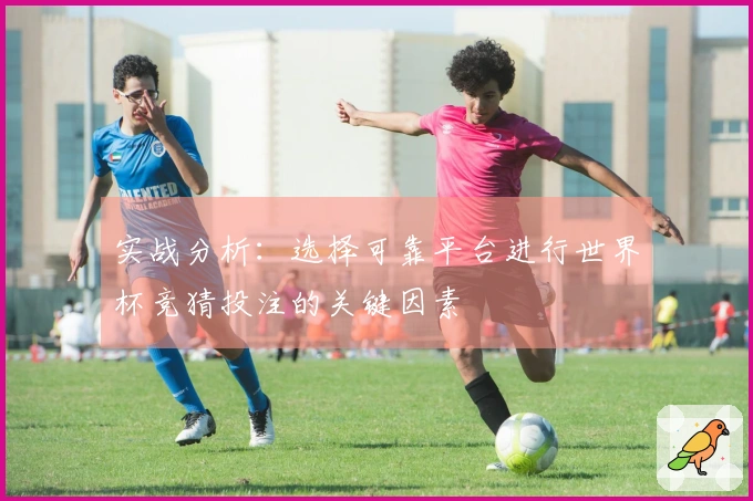 实战分析：选择可靠平台进行世界杯竞猜投注的关键因素