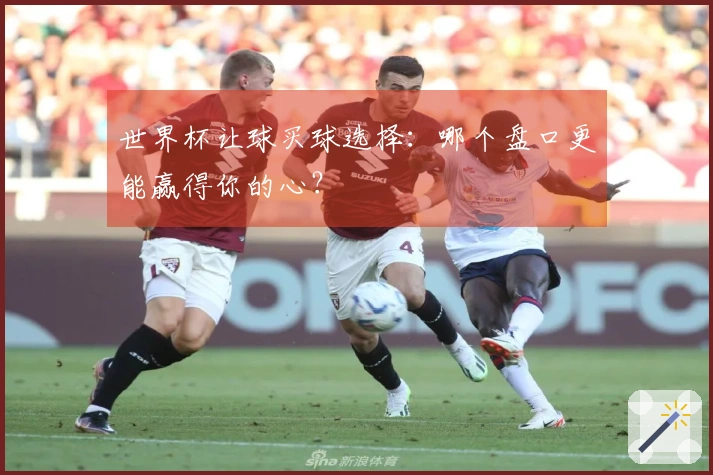世界杯让球买球选择：哪个盘口更能赢得你的心？