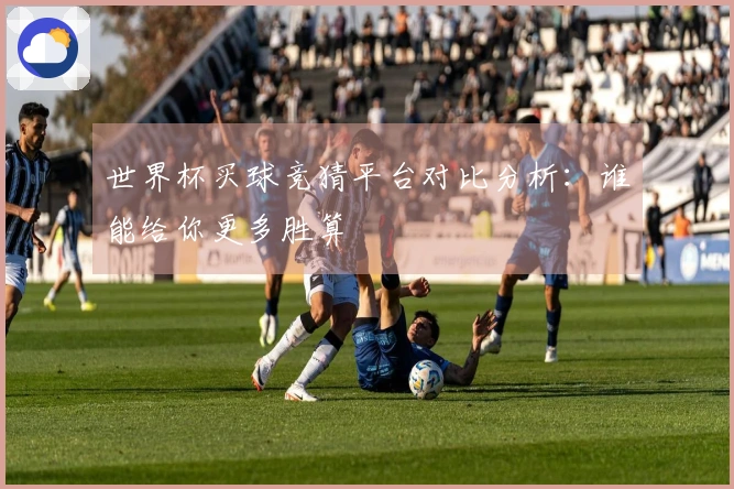 世界杯买球竞猜平台对比分析：谁能给你更多胜算