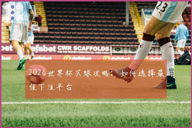 2026世界杯买球攻略：如何选择最佳下注平台