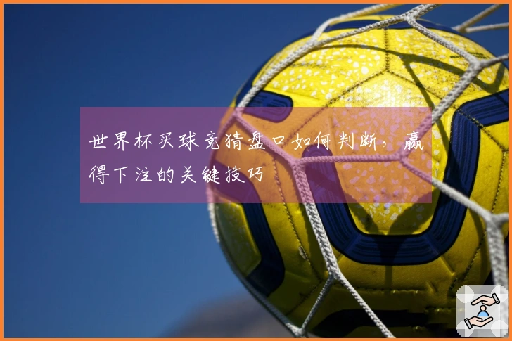 世界杯买球竞猜盘口如何判断，赢得下注的关键技巧