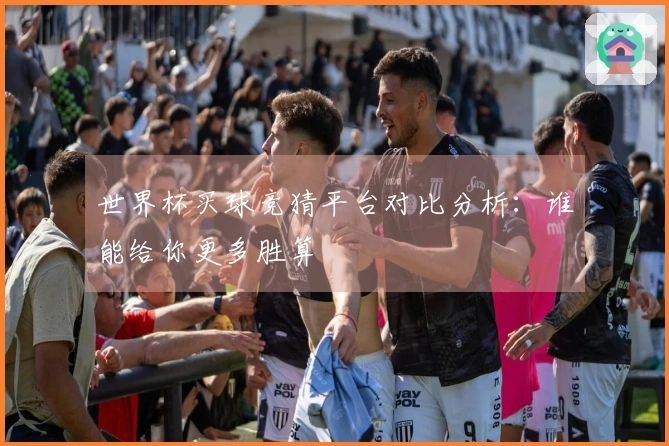 世界杯买球竞猜平台对比分析：谁能给你更多胜算